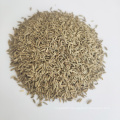 High Quality Nature Cumin Seeds Wholesale